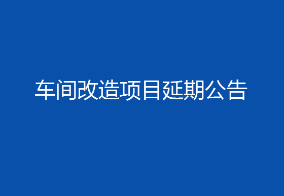 华亿买球车间改造项目延期公告